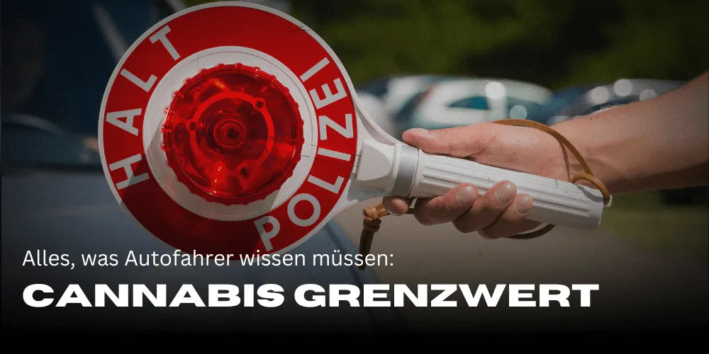 THC-grenswaarde in Duitsland: Alles wat automobilisten moeten weten - Smagro GmbH