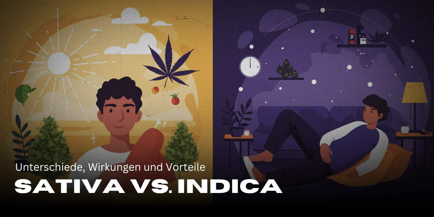 Sativa vs. Indica: Differences, effects, and benefits