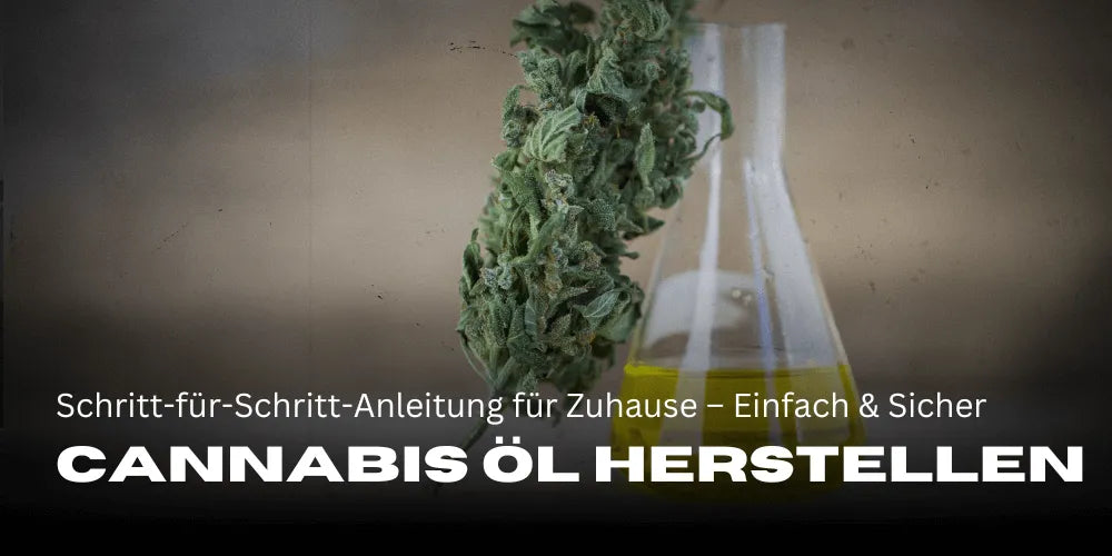Cannabisolie maken: Stapsgewijze handleiding voor thuis – Eenvoudig & Veilig