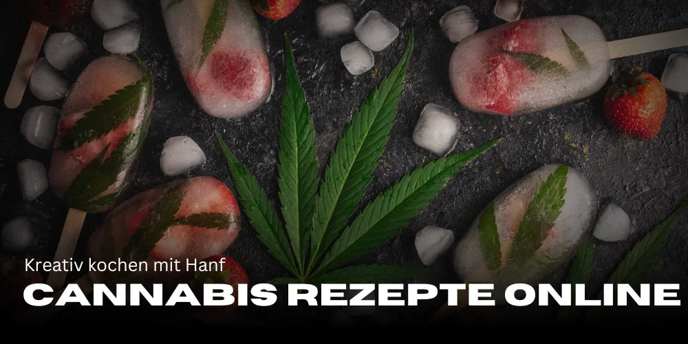 Cannabis Recipes Online: Creative Cooking with Hemp
