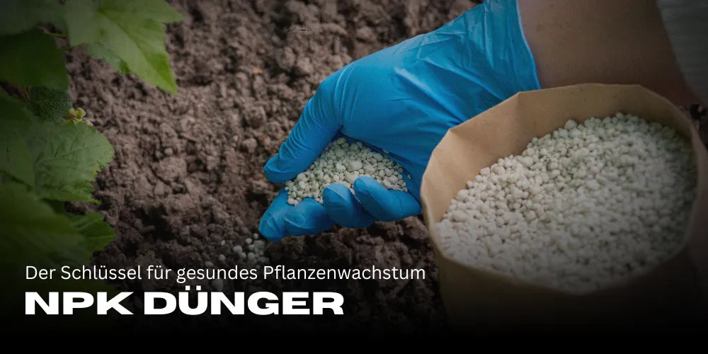 Fertilizante NPK: A chave para um crescimento saudável das plantas e colheitas ótimas