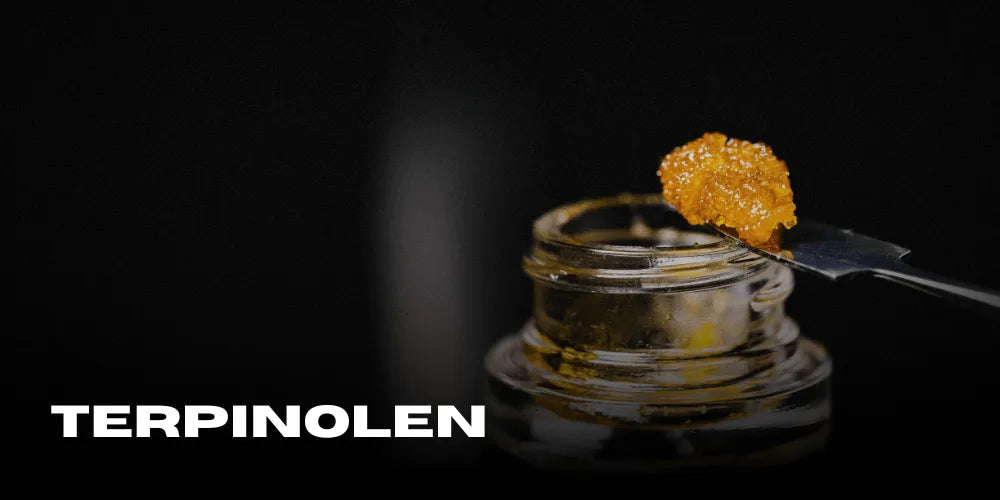 Terpinolene