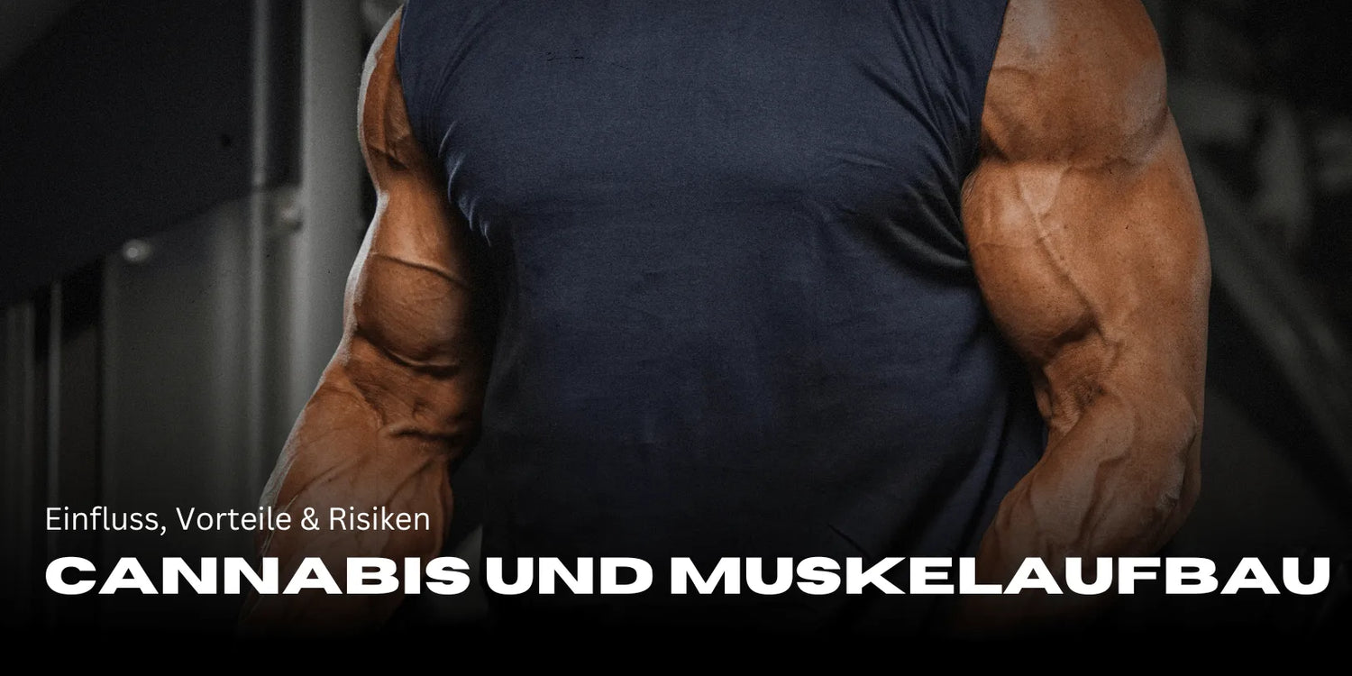 Cannabis et musculation : influence, bienfaits & risques-Smagro GmbH