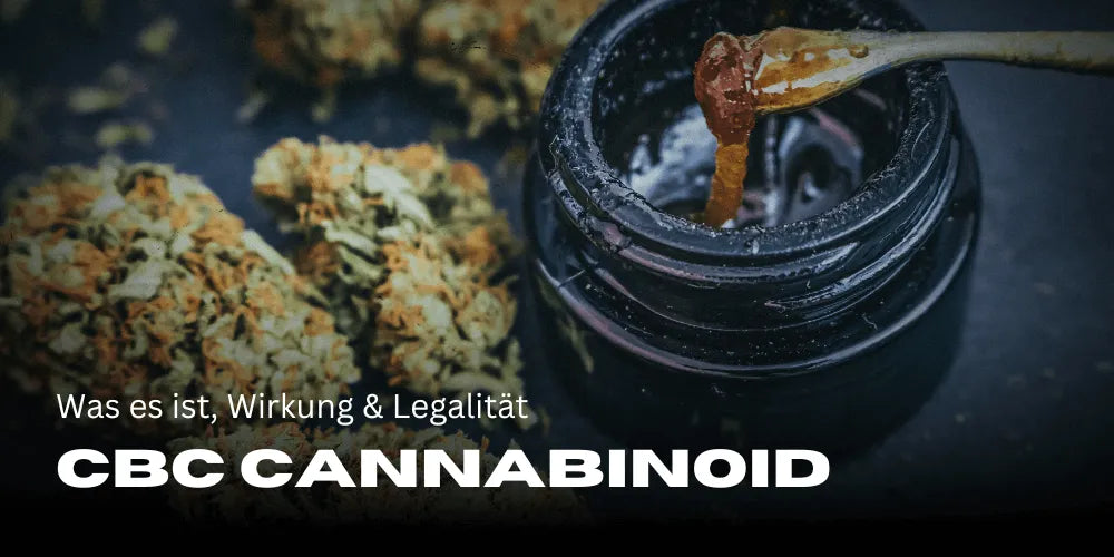 CBC Cannabinoïde: Wat het is, Effecten & Legaliteit