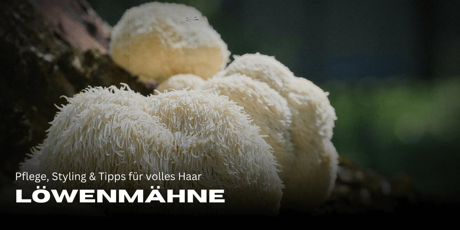 Oroszlánsörény – Ápolás, formázás és tippek a dús hajért – Smagro GmbH