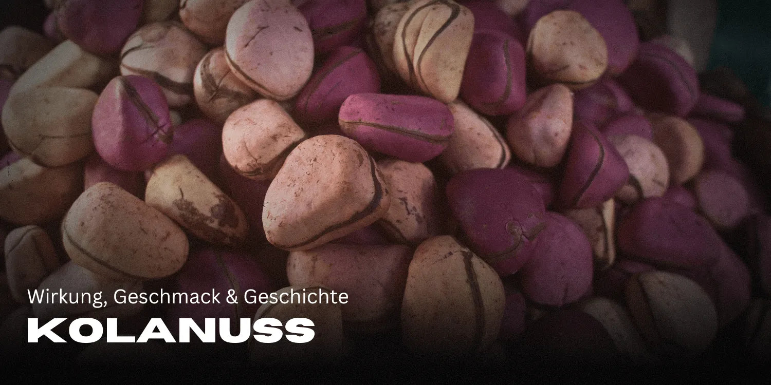 Kola nut: effects, taste & history of the power nut