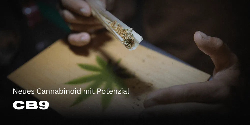 CB9 egy ígéretes új kannabinoid