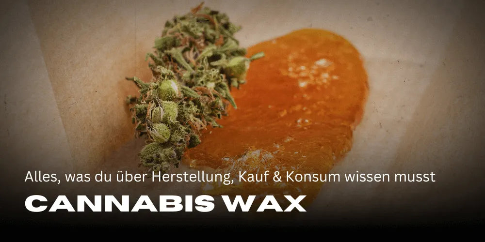 Cannabis Wax: Minden, amit a készítéséről, vásárlásáról és fogyasztásáról tudnod kell