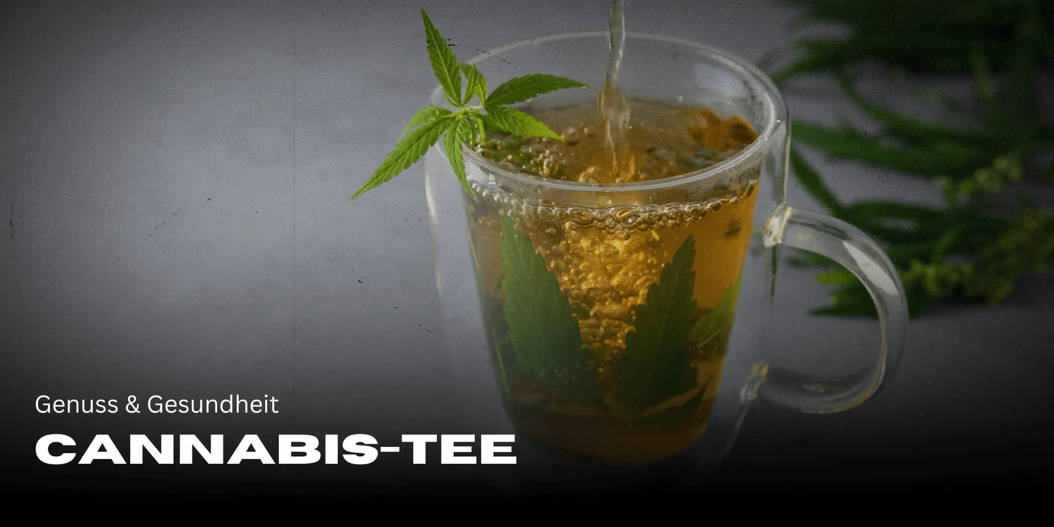 Cannabis Tea: Enjoyment & Health in a Cup