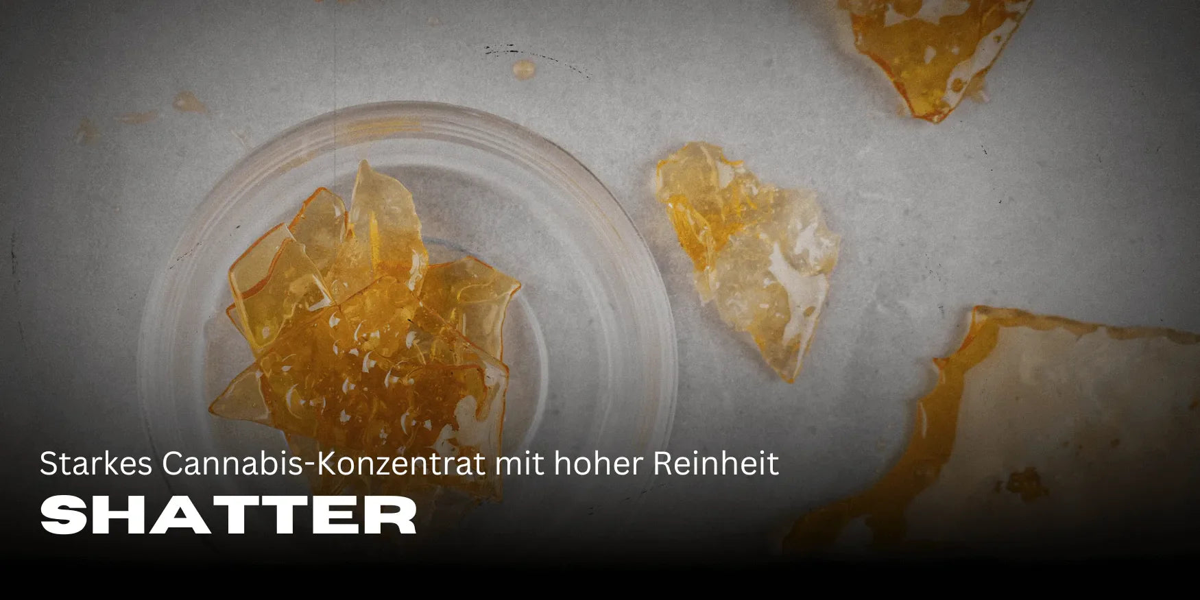 Shatter: Erős, nagy tisztaságú kannabisz-koncentrátum – Smagro GmbH