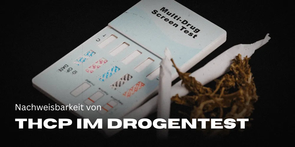 A THCP kimutathatósága a drogtesztben autóvezetéskor, közúti ellenőrzés során