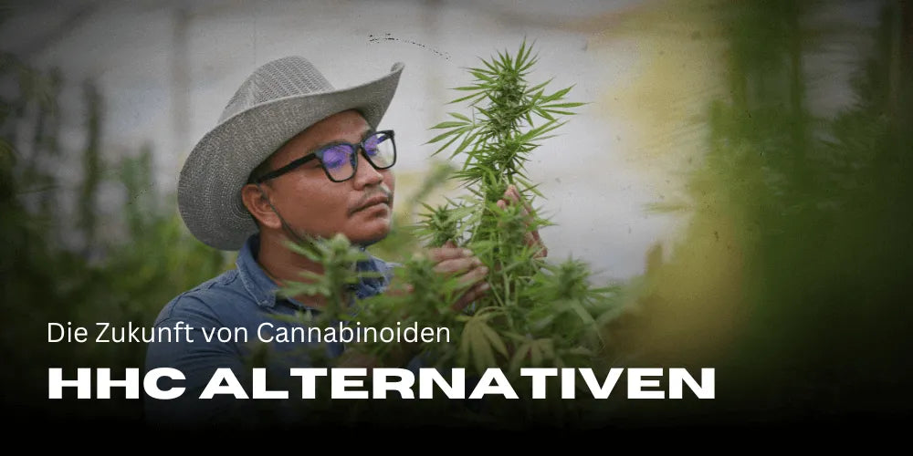 HHC Alternatives: The Future of Cannabinoids