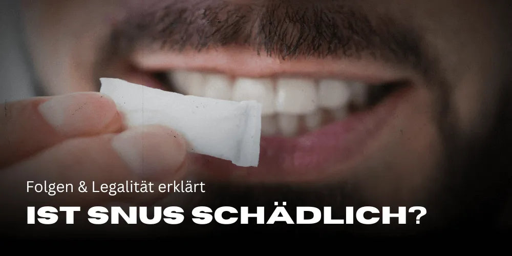 Is Snus harmful? Consequences & legality explained