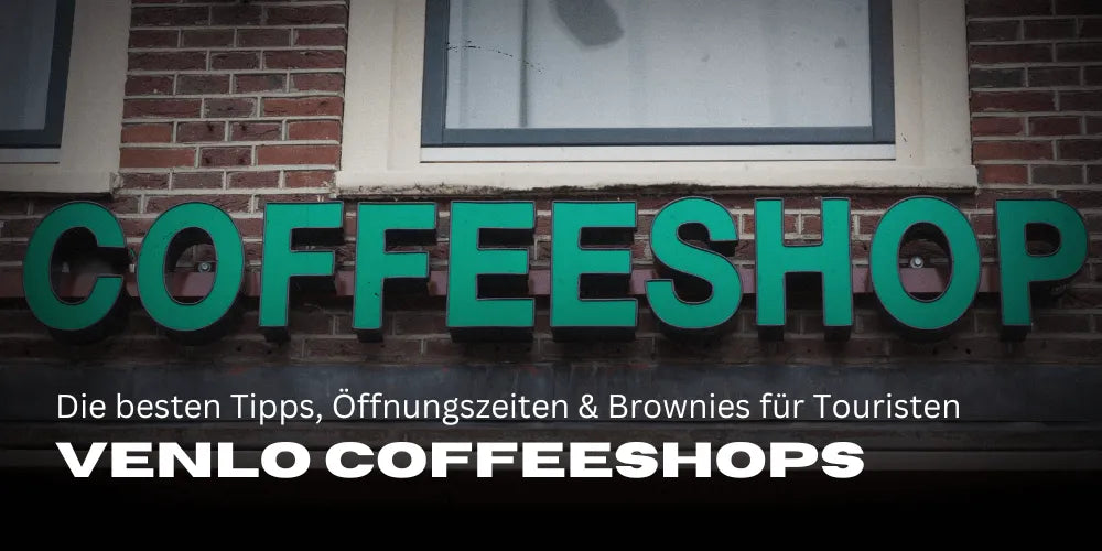 Venlo Coffeeshops: The best tips, opening hours, and cannabis brownies for tourists