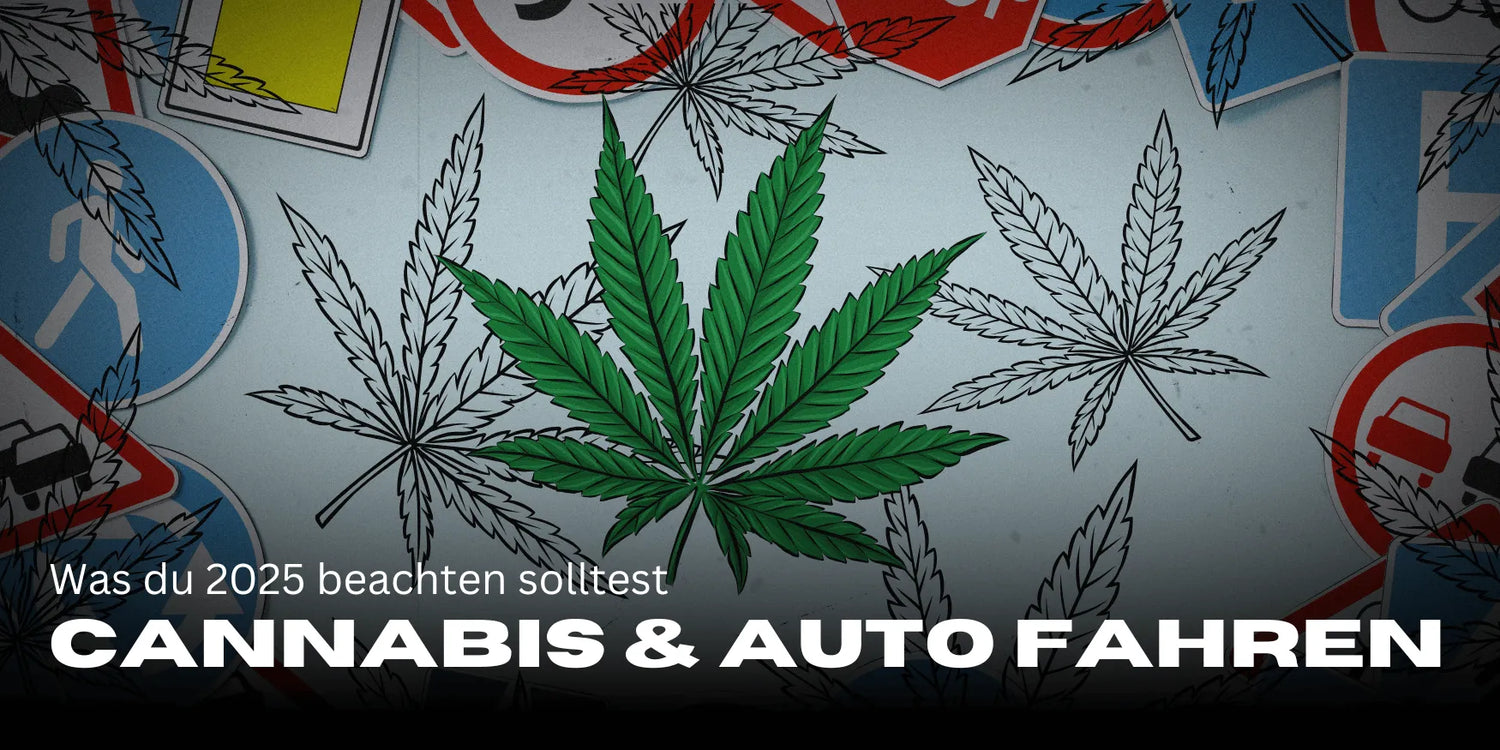 Cannabispatiënten & Rijbewijs 2025