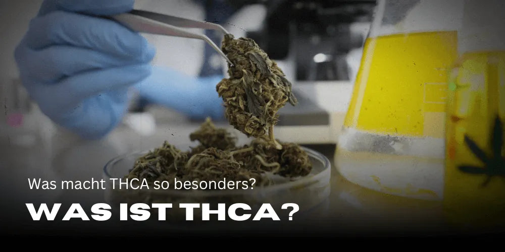 Mi az a THCA, és mi teszi különlegessé?