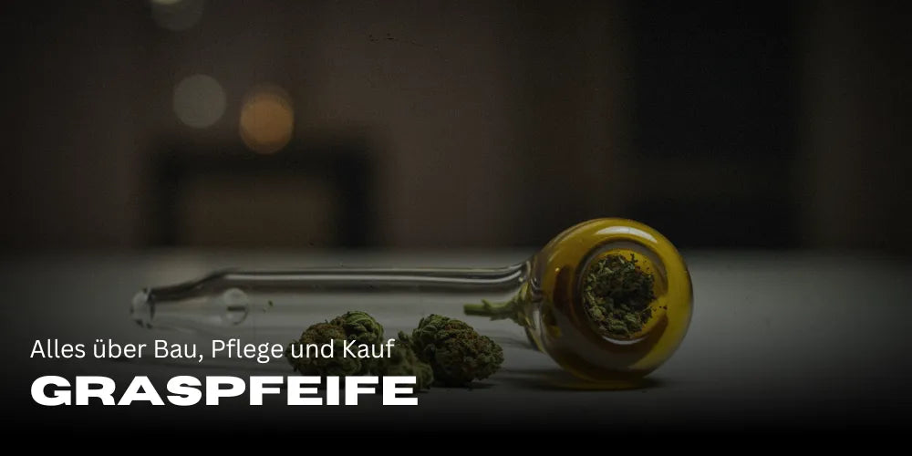 Graspfeife: How to find, build, and maintain the perfect pipe