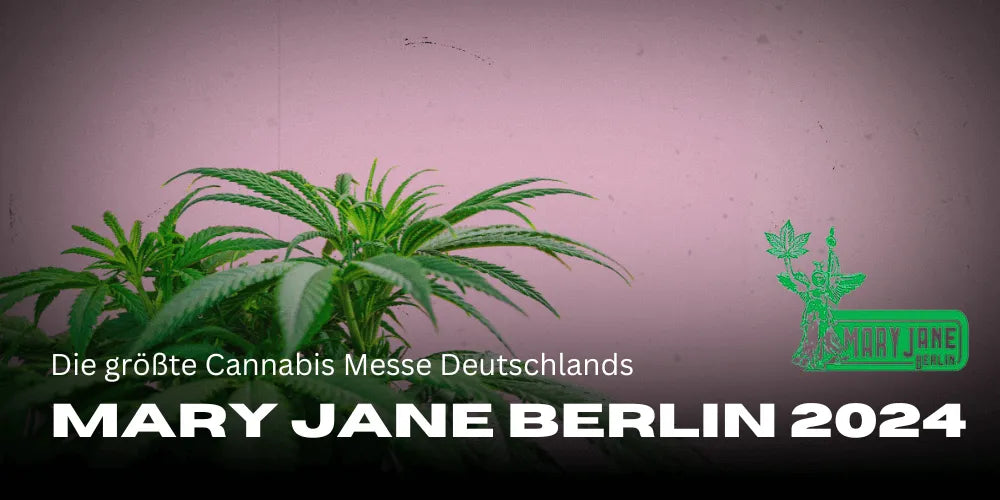 Mary Jane Berlin 2024: A maior feira de Cannabis da Alemanha