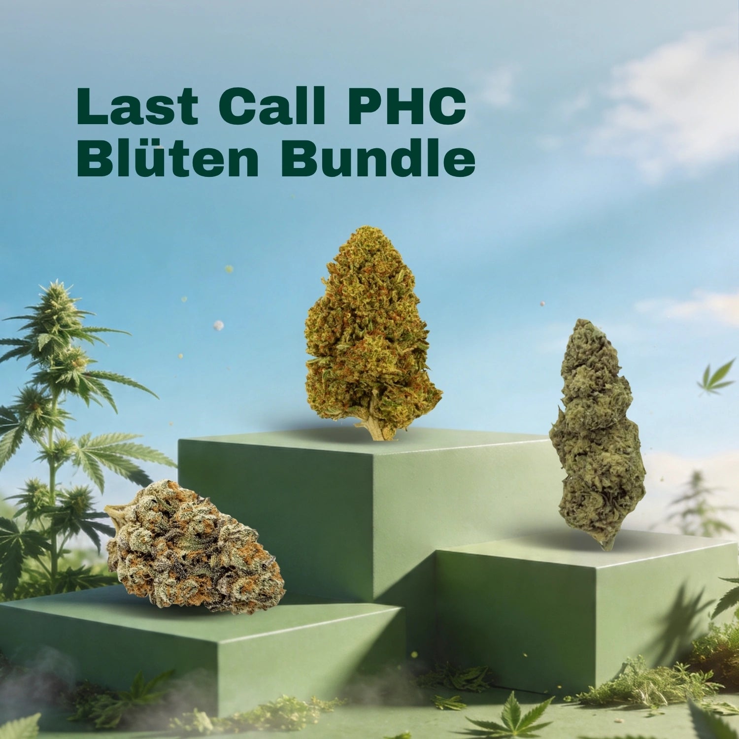 Last Call PHC Blüten Bundle