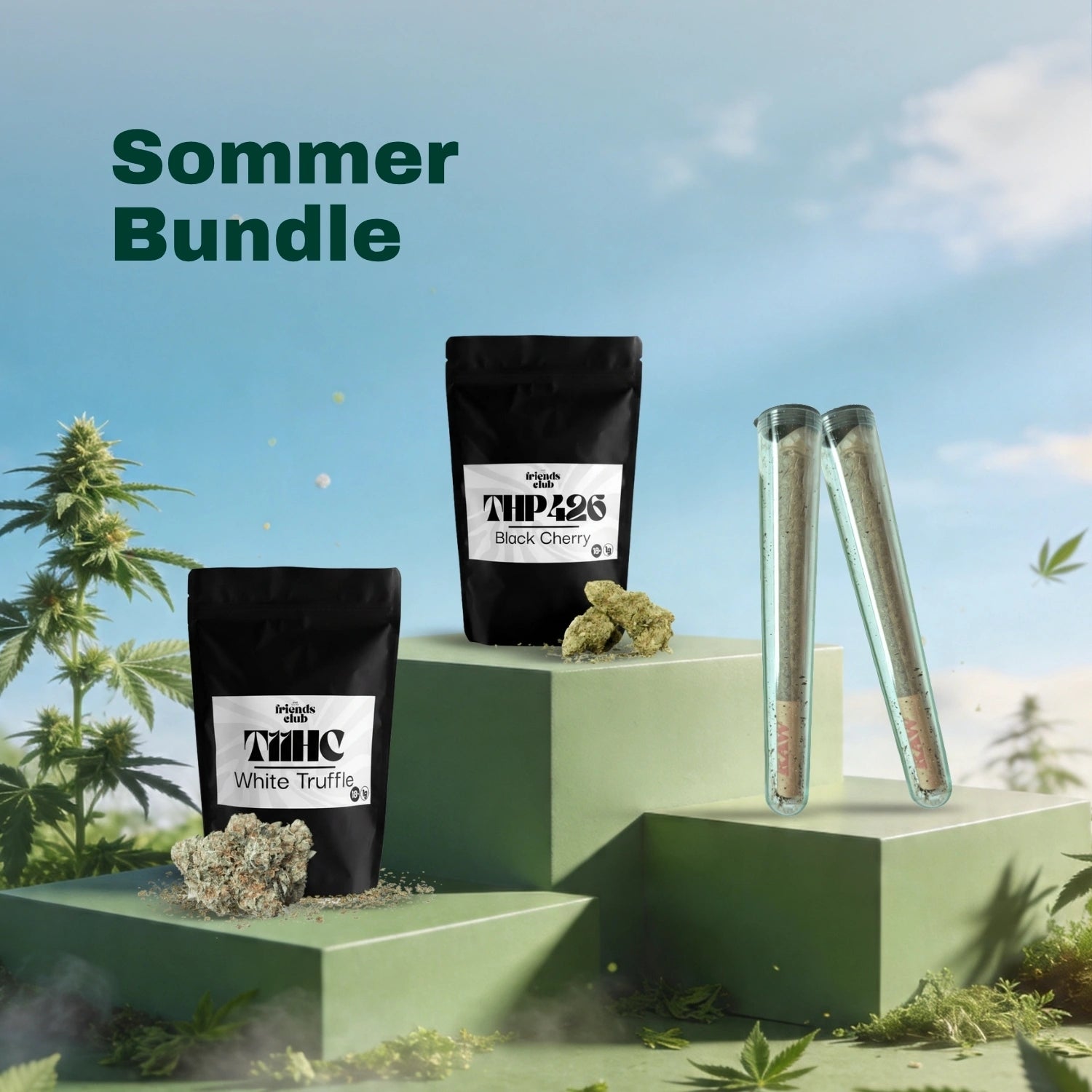 Summer Bundle