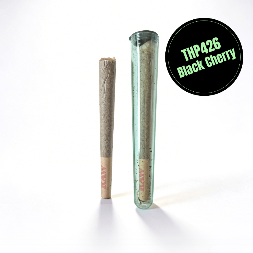 THP426 PreRoll Black Cherry 1,3g