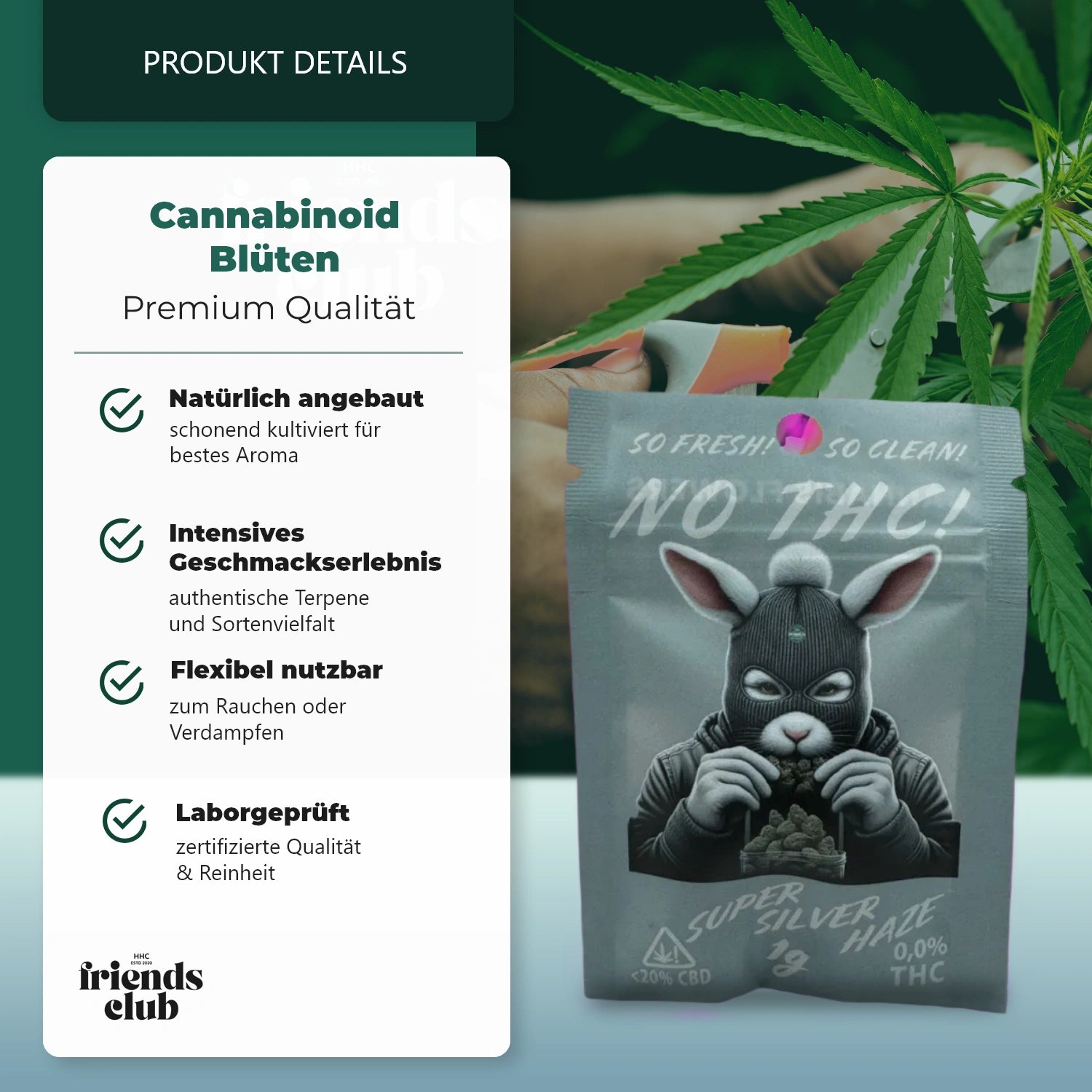 CBD Flowers THC Free Super Silver Haze 20% 1g-HHCFriends