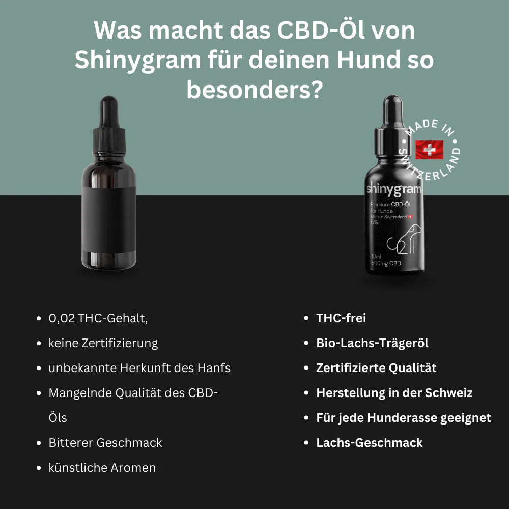 CBD Oil for Dogs 5%