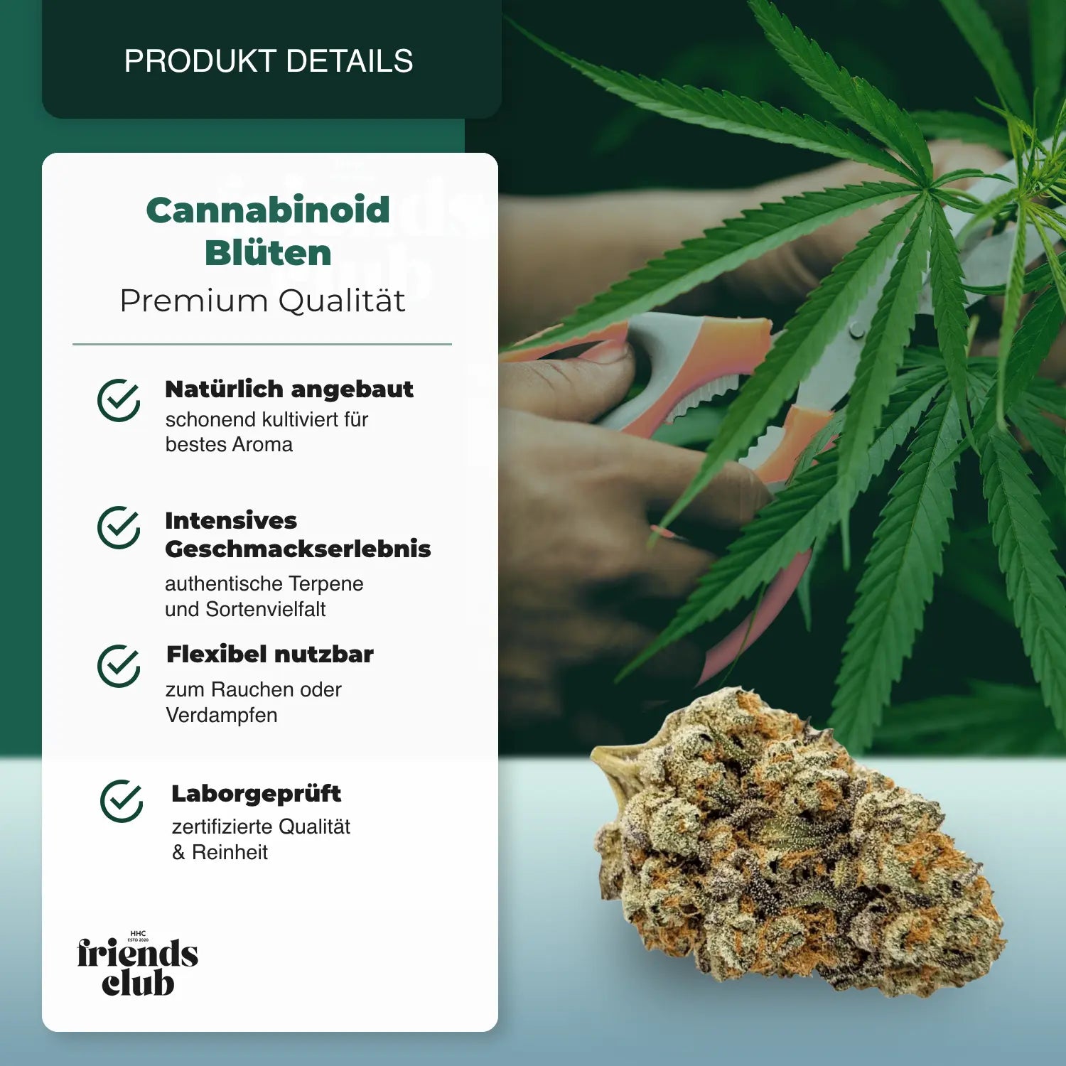 PHC Flowers Lemon Cookies - hhcfriends