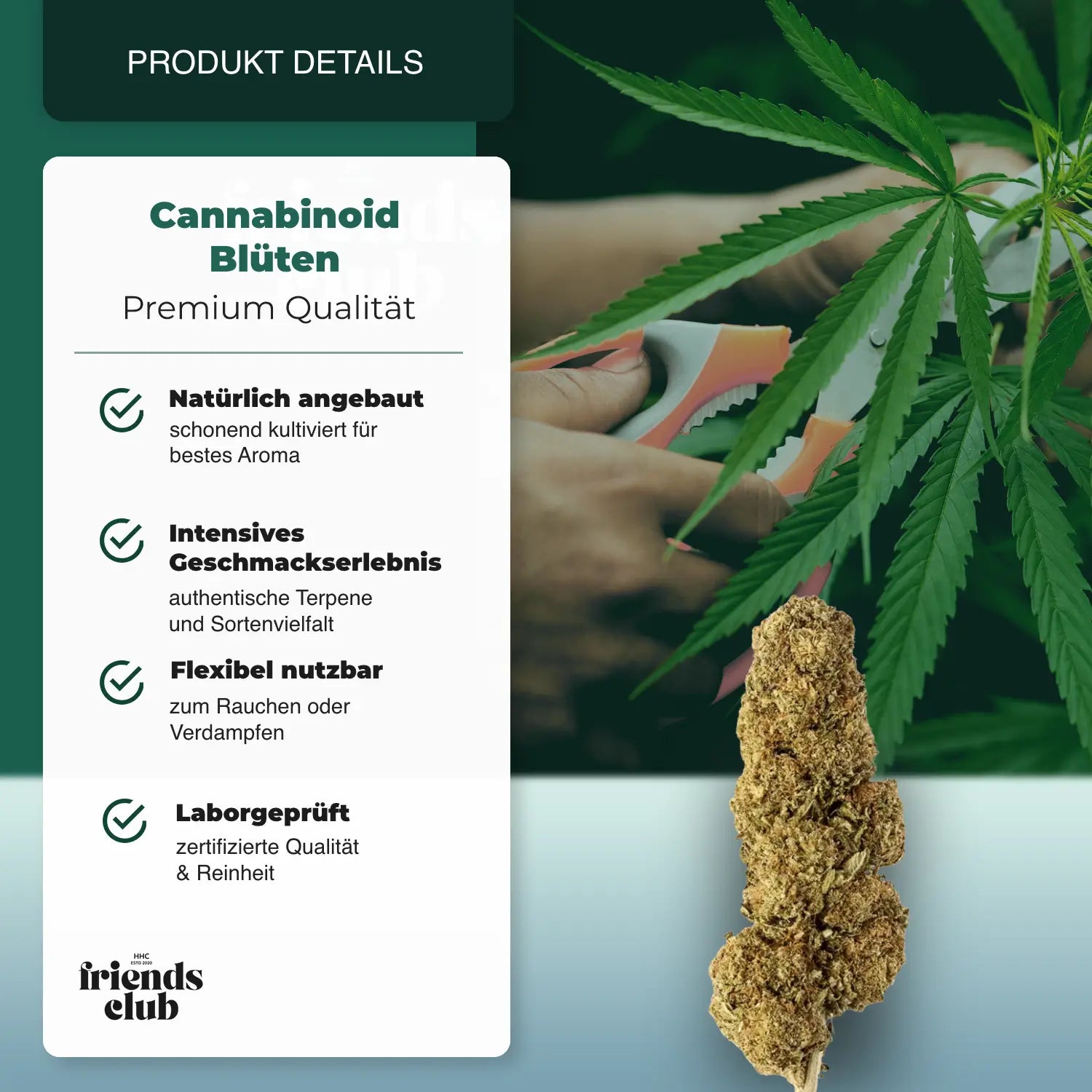 PHCP Flower Strawberry - hhcfriends