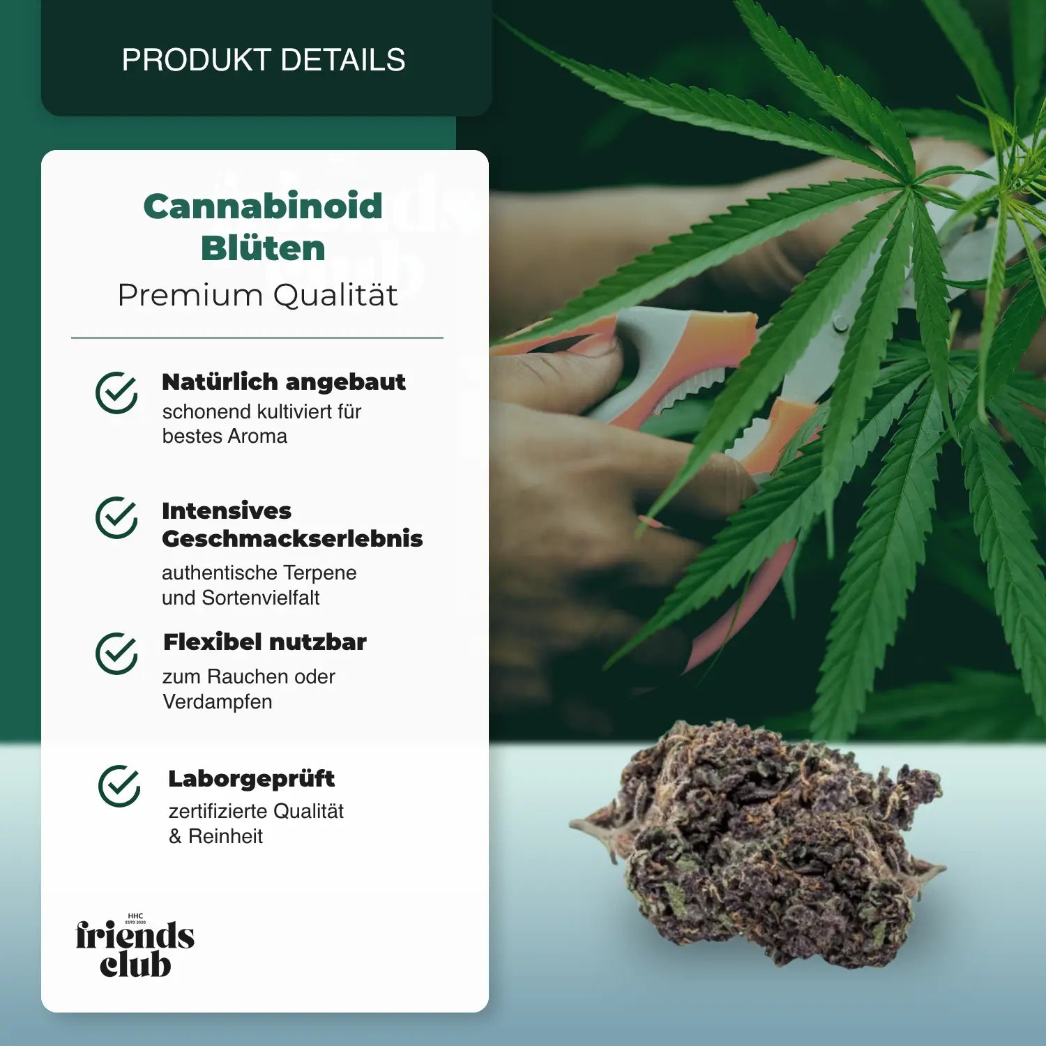 PHC Flowers Purple Haze 25% - hhcfriends