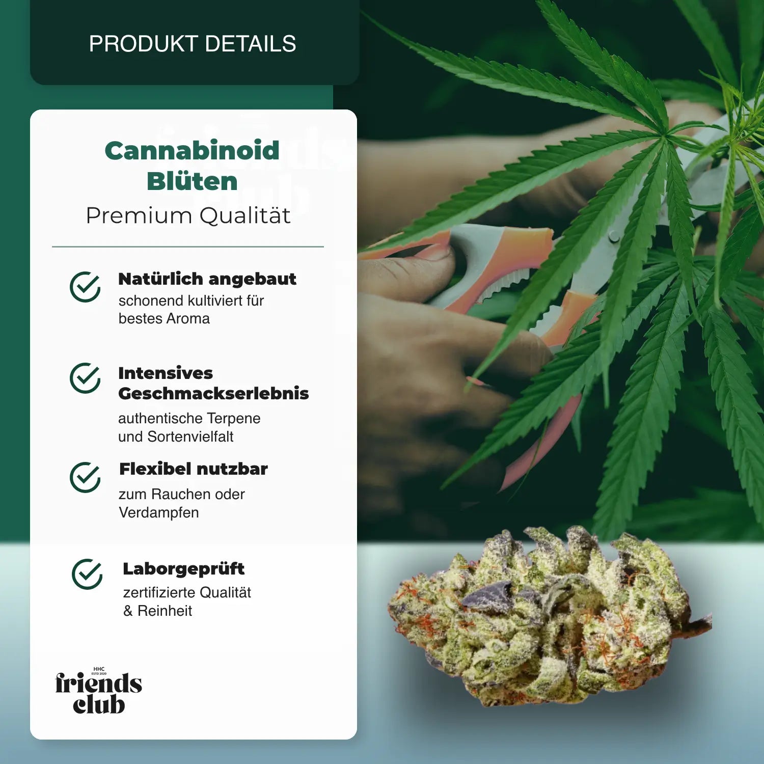 CBD Flowers Purple Haze 1g - hhcfriends