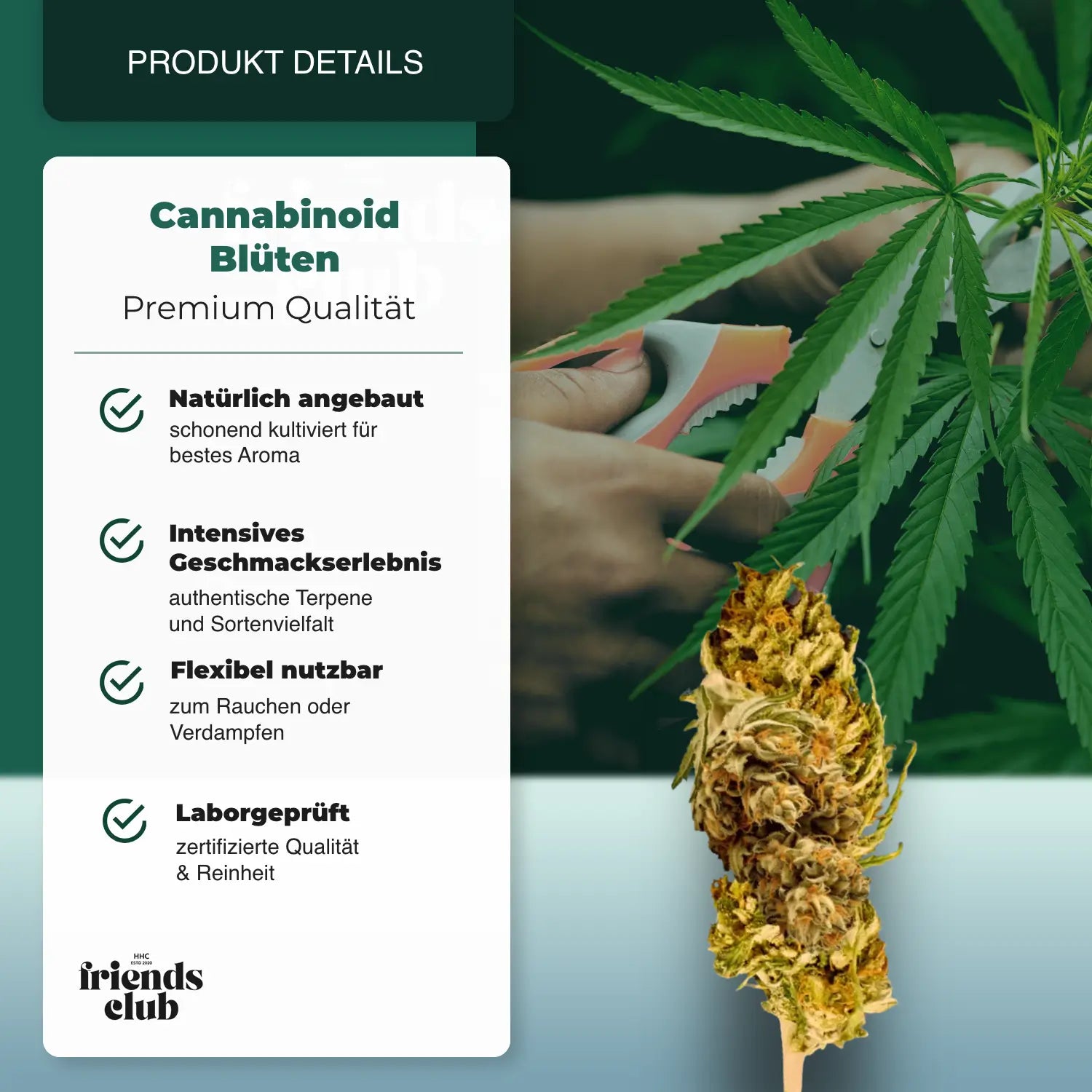 PHC Flowers V1 25% - hhcfriends