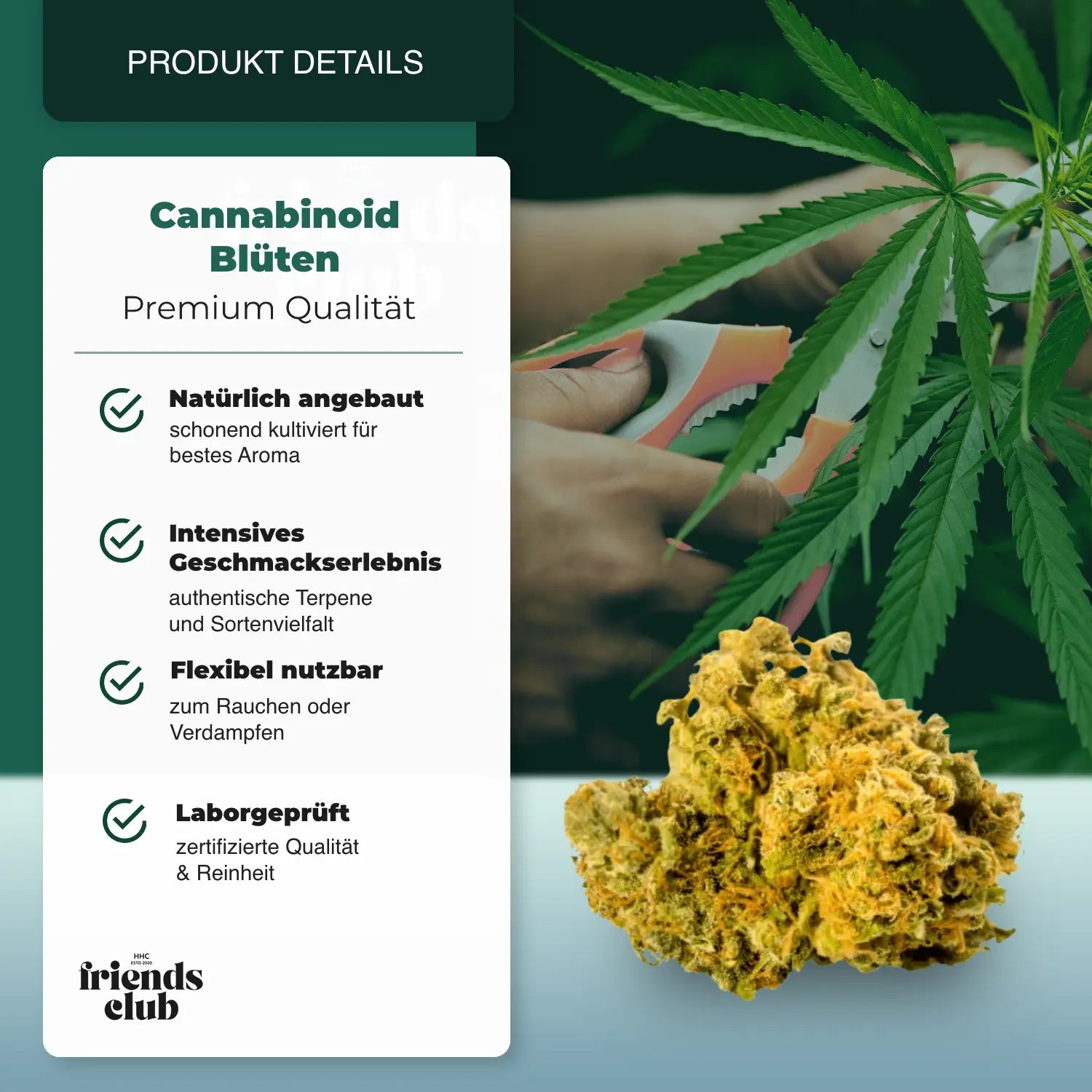 PHC Flowers Mango 25% - hhcfriends