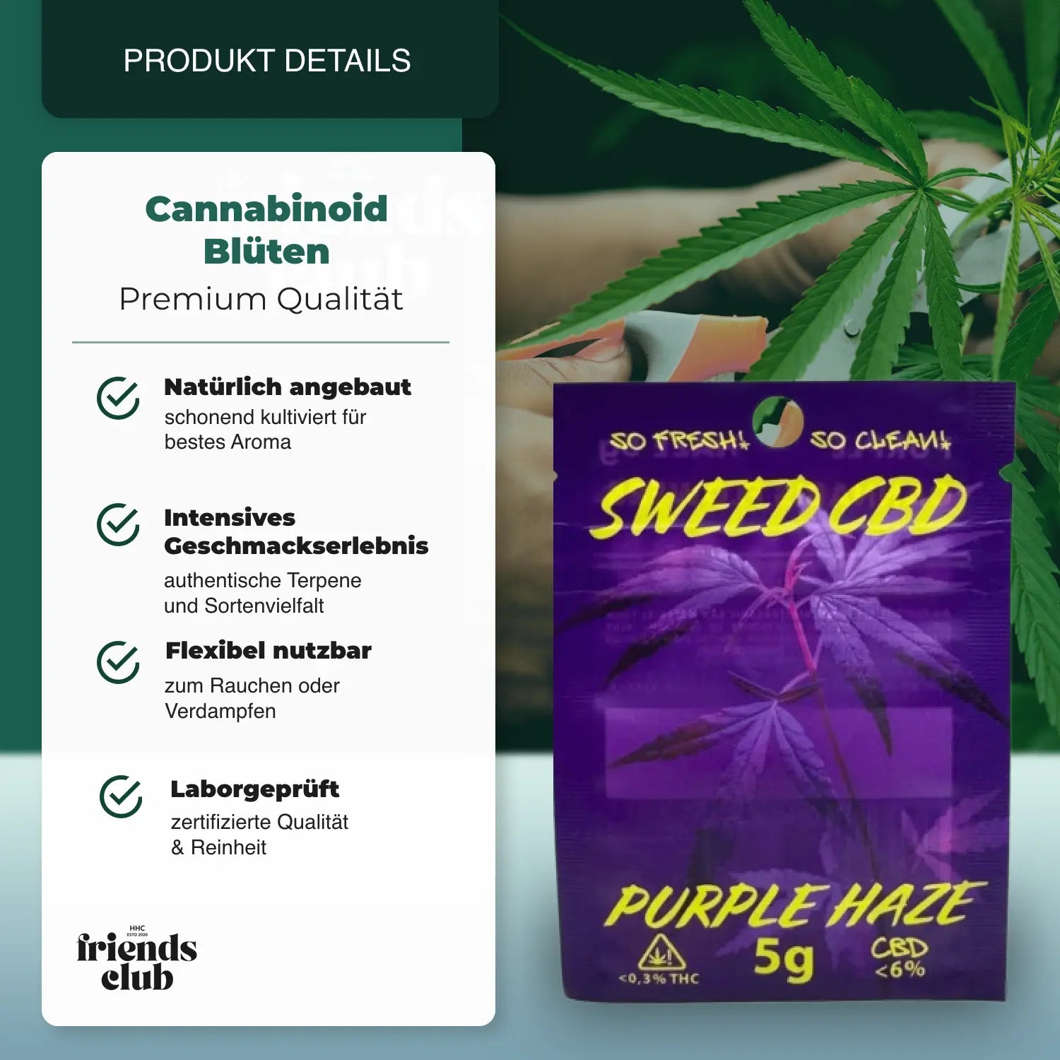 CBD Flower Purple Haze 5g - hhcfriends