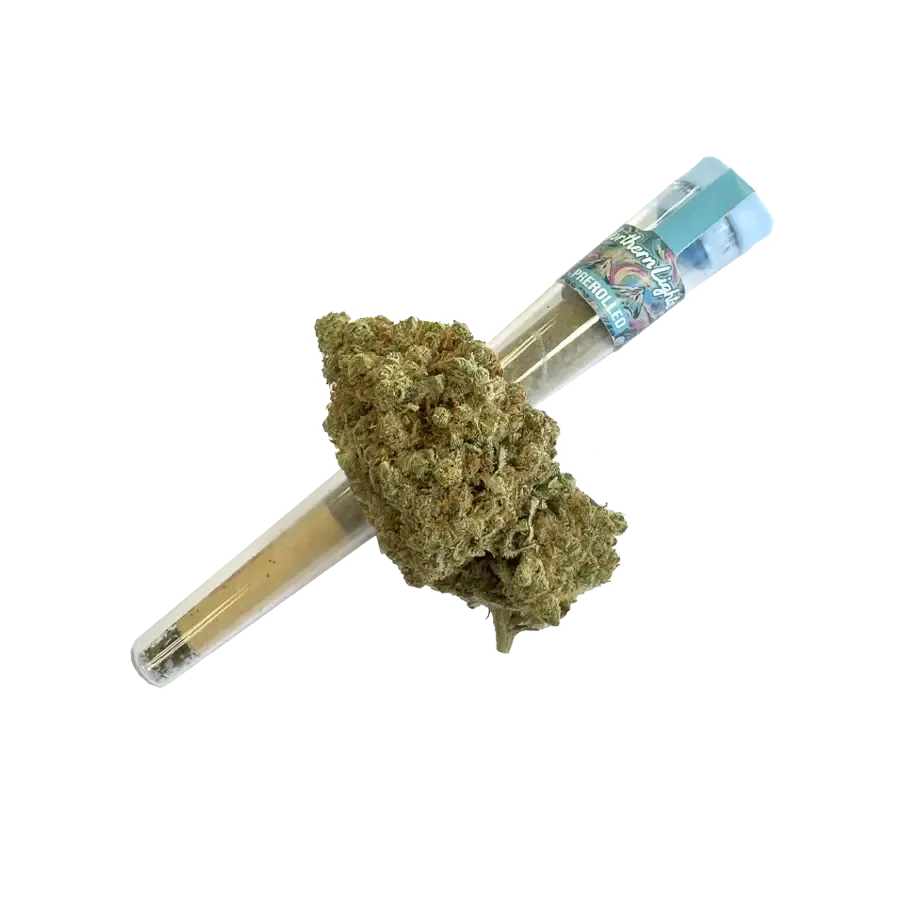 Előre sodort HHZ 40% – Northern Light