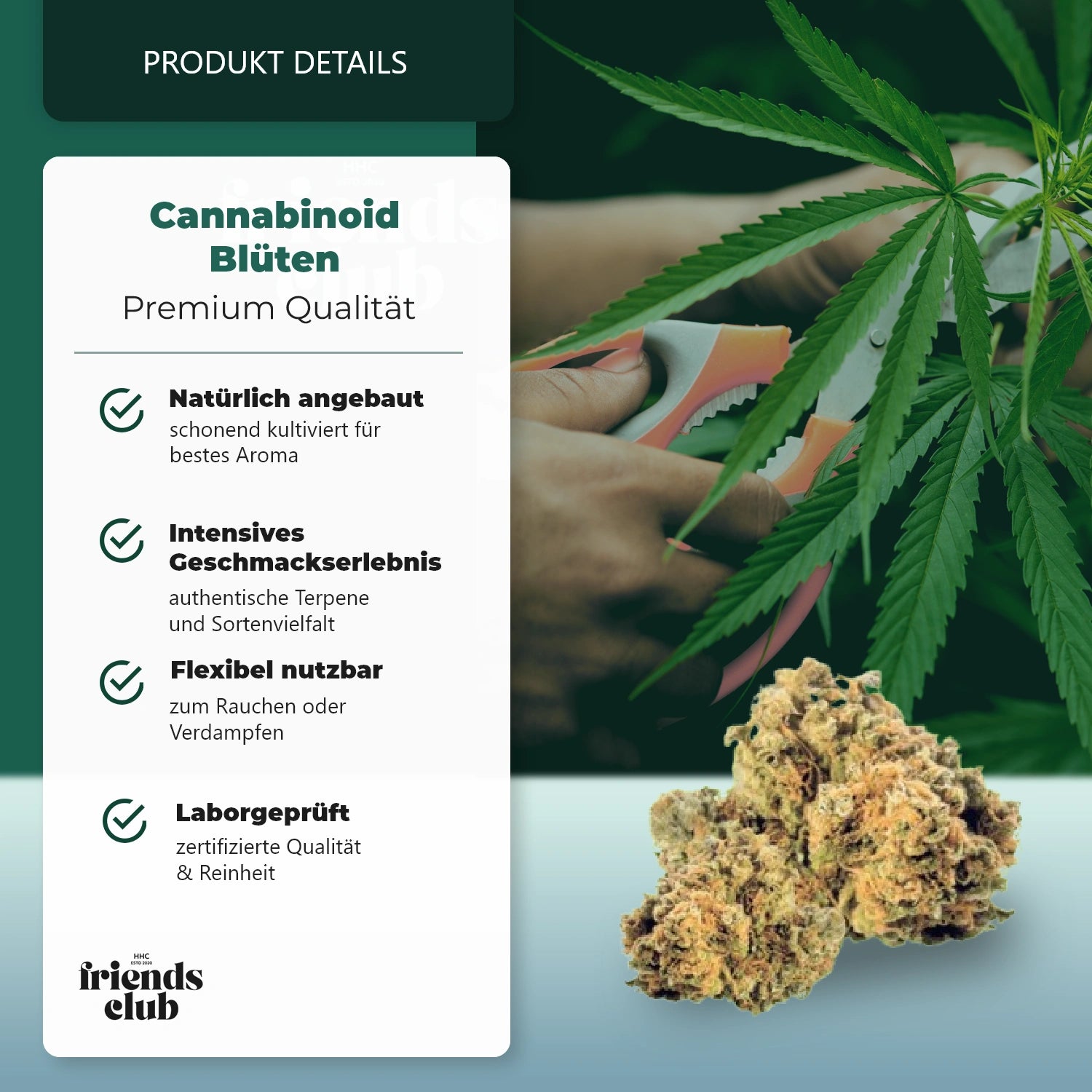 CBD Kwiat Mango Kush THC Low-HHC Friends