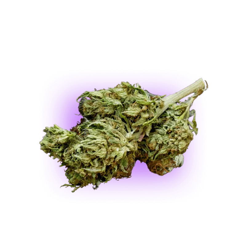 CBD Flower Super Lemon Haze NO THC