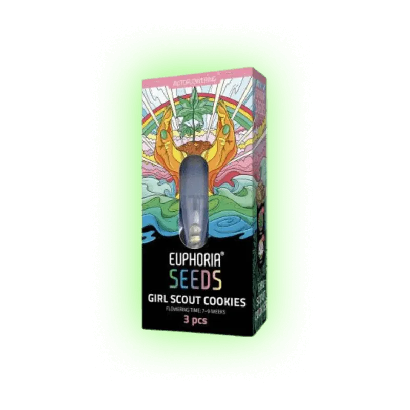 Semințe de canabis Girl Scout Cookies auto. 3 bucăți