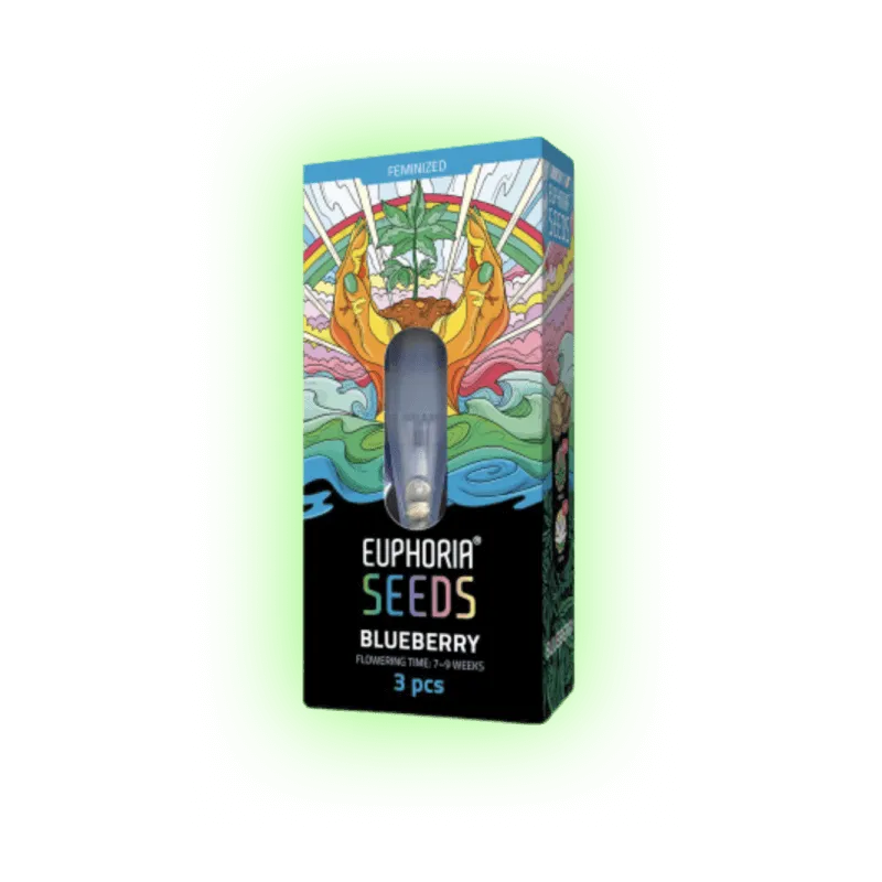 Semillas de Cannabis Blueberry 3 unidades
