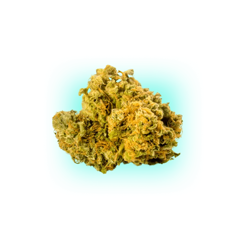 Cannabis Seeds Biscotti 3 Pieces