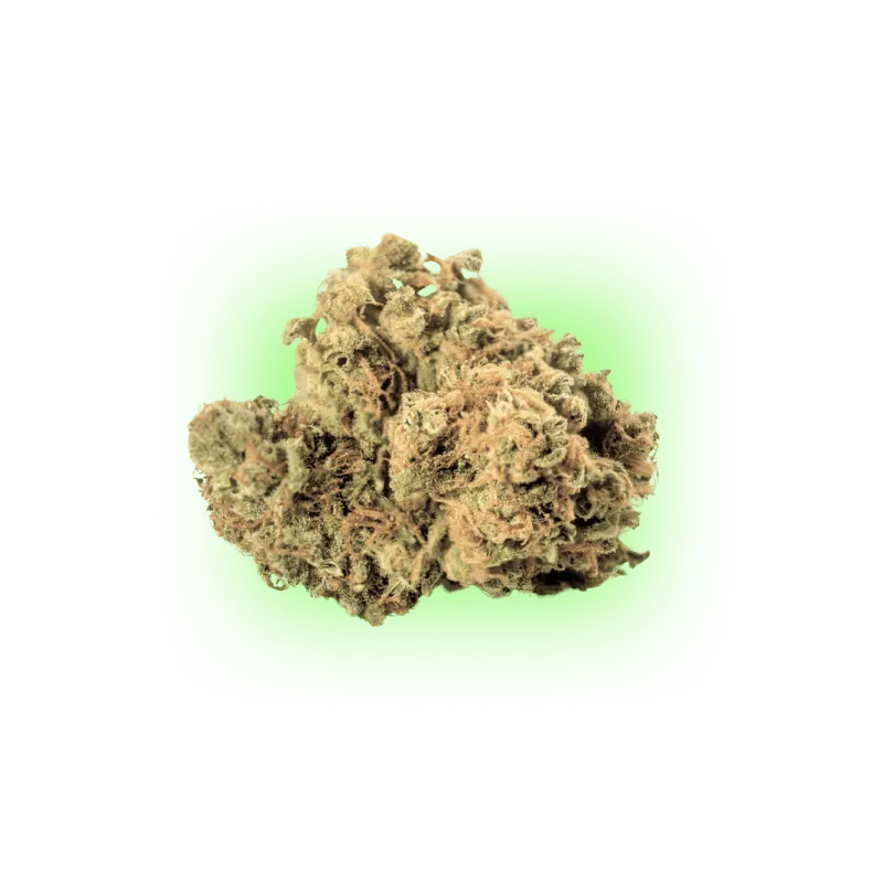 Pack mix de 5 graines de Cannabis Automatique