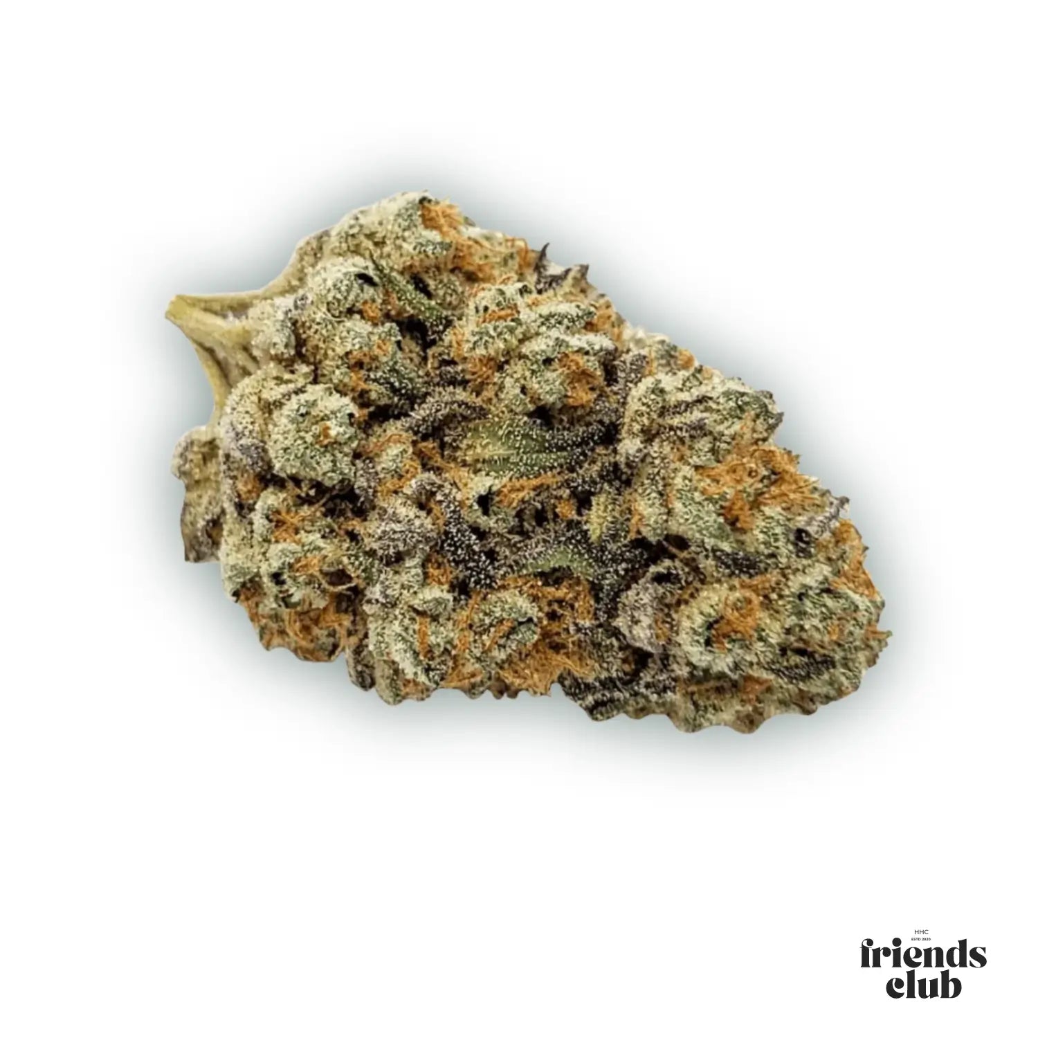 PHC Flowers Lemon Cookies - hhcfriends
