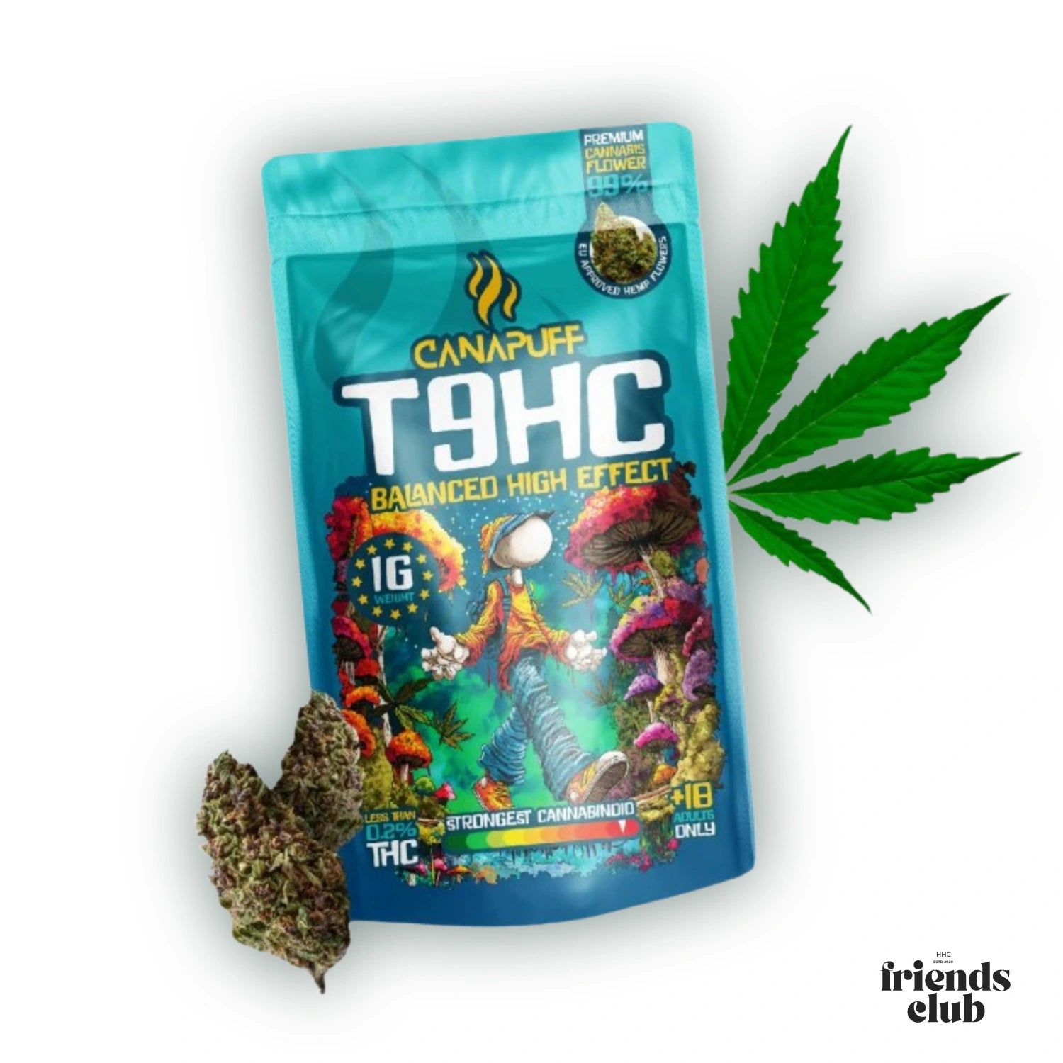 T9HC Flori Balanced 99% - hhcfriends