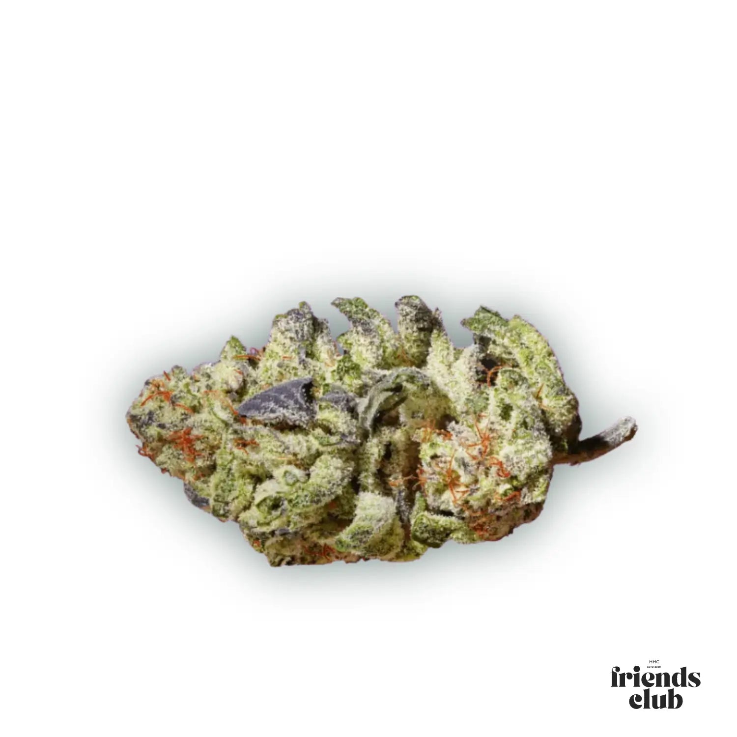 CBD Flowers Purple Haze 1g - hhcfriends