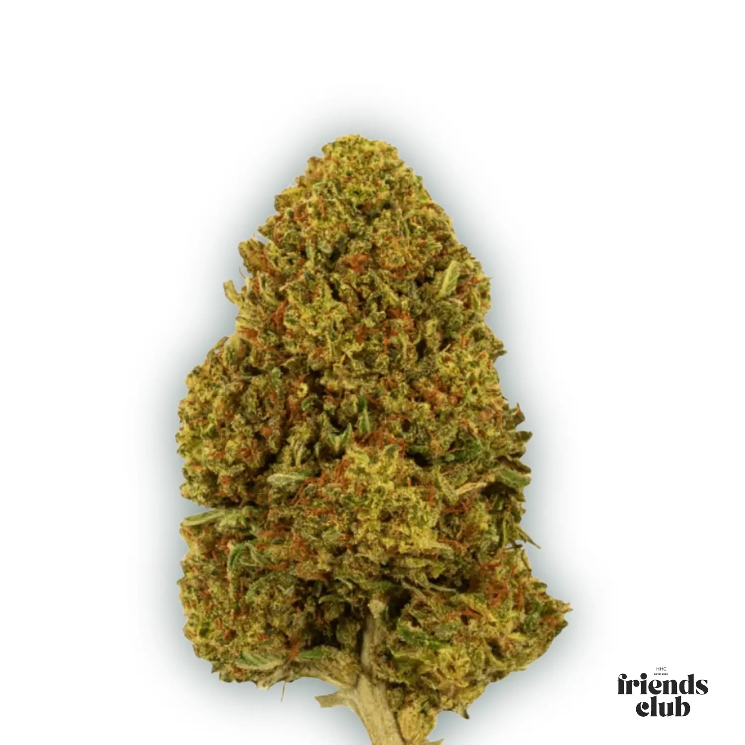 PHC Flowers Gelato #45 - hhcfriends