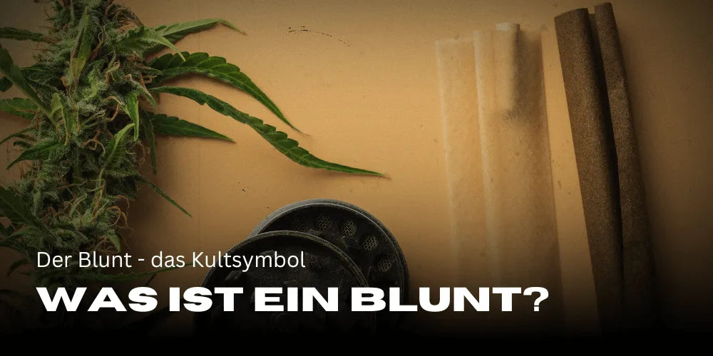 Co to jest Blunt?