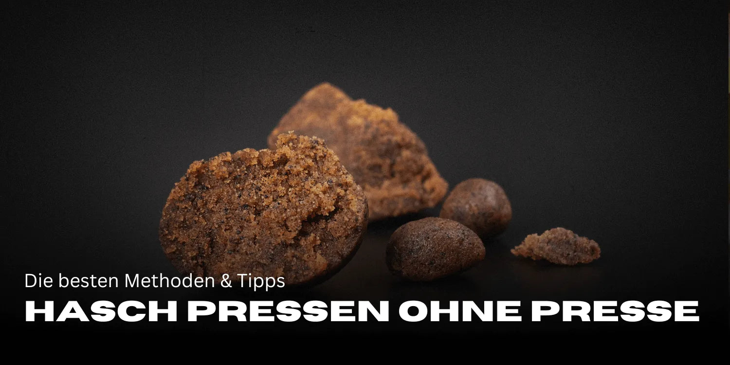 Pressing hash without a press: The best methods & tips - Smagro GmbH