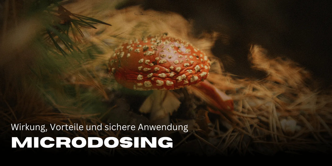 Mikrodawkowanie: Efekty, zalety i bezpieczne stosowanie