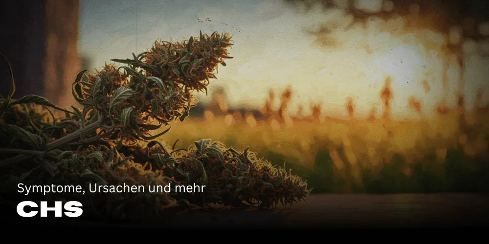 Zespół hiperemezy kannabinoidowej (CHS): objawy, przyczyny i więcej