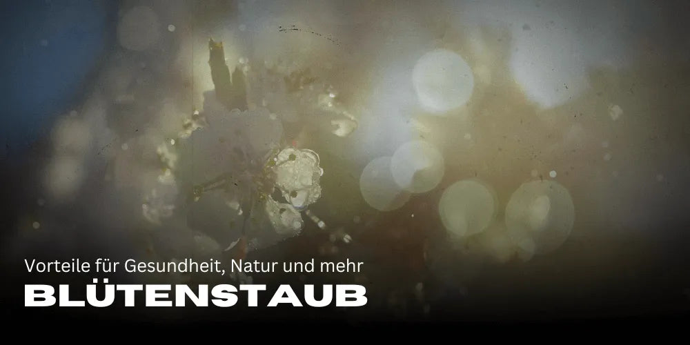 Pyłek kwiatowy: zalety dla zdrowia, natury i nie tylko 🌼